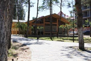 Березка 3