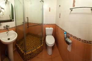 Отель VIP-отель. Люкс трехместный  5